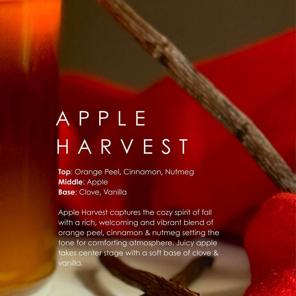 Apple Harvest Candle - Luxury Scented Soy Candle